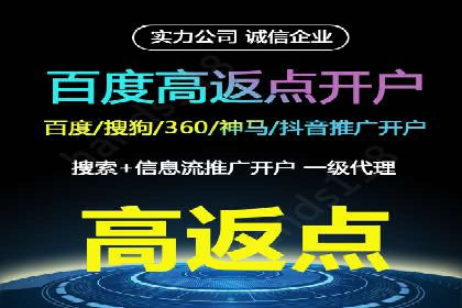 SEM托管公司案例研究：优化策略解析